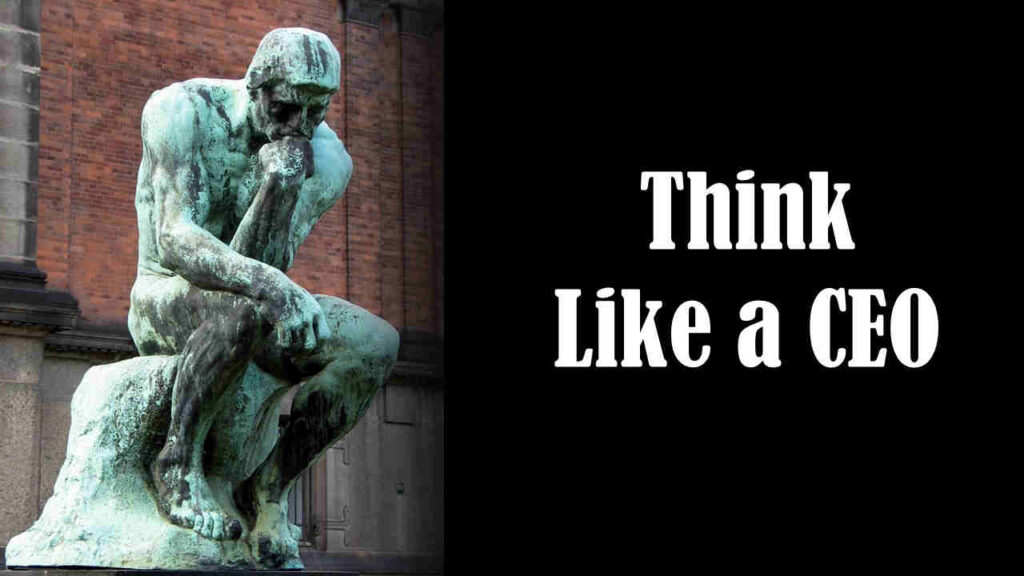 Think Like a CEO